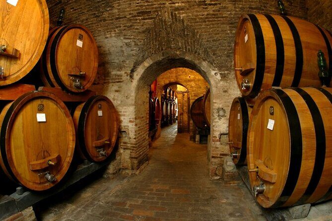 Cilento Wine: Tour & Tasting Experience - Transportation & Logistics
