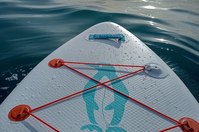 Cinque Terre by Sup - Meeting and End Points