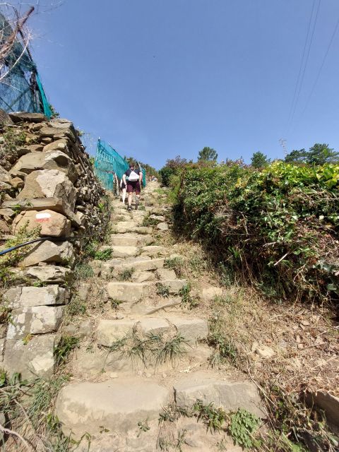 Cinque Terre from Riomaggiore to Manarola and vineyards - Final Thoughts: Who Will Love This Tour?