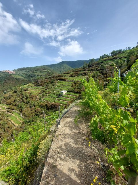 Cinque Terre from Riomaggiore to Manarola and vineyards - FAQs