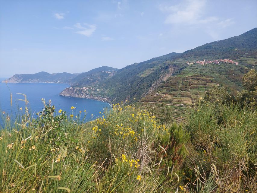 Cinque Terre From Riomaggiore to Manarola and Vineyards - Guided Hiking Tour