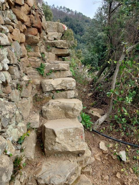 Cinque Terre, Hiking From Riomaggiore to Portovenere - Key Points
