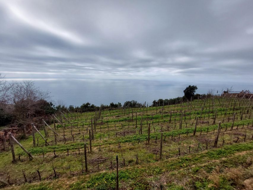 Cinque Terre, Hiking From Riomaggiore to Portovenere - Exploring Cinque Terres Landscapes