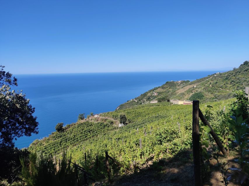 Cinque Terre: Private Trekking Riomaggiore to Monesteroli - Highlights of the Trekking Experience