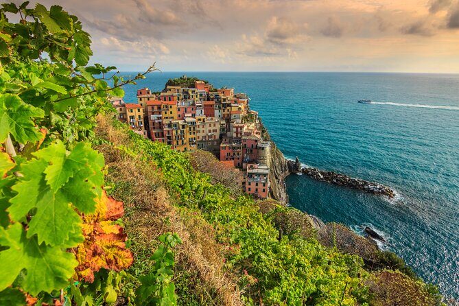 Cinque Terre Private Wine And Views Tour - Key Points