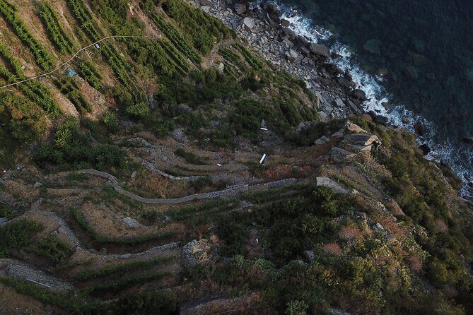 Cinque Terre Private Wine And Views Tour - An Introduction to the Experience