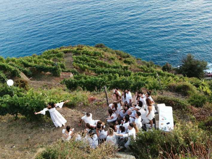 Cinque Terre: Tasting in the Cellar With Visit to Vineyards - Key Points
