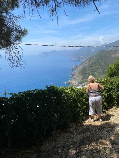 Cinque Terre Tour by van from Lucca, Pisa or La Spezia - Who Should Consider This Tour?