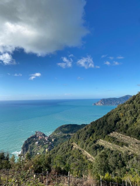 Cinque Terre Tour by van from Lucca, Pisa or La Spezia - Final Thoughts