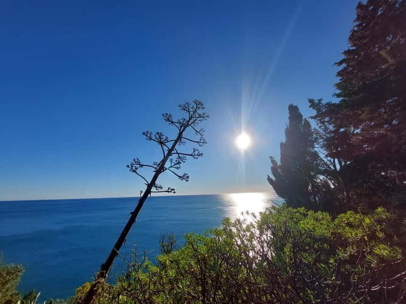 Cinque Terre Villages Walking panoramic tour - The Guide’s Role and the Small Group Dynamic