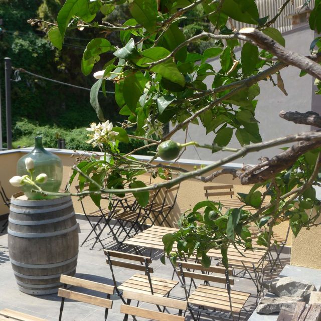 Cinque Terre Wine Tour and Tasting With the Somelier - Meeting Point and Access