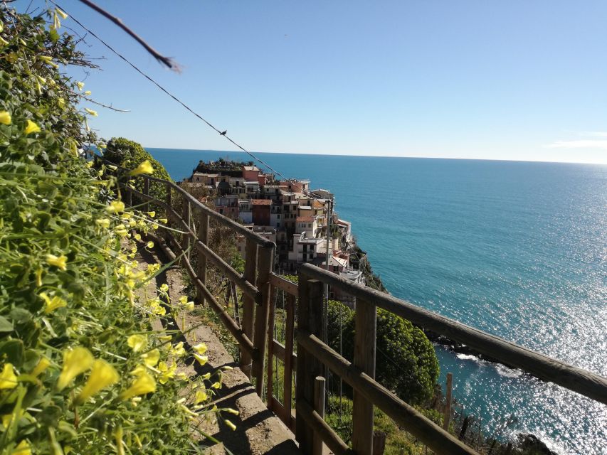Cinque Terre Wine Tour and Tasting With the Somelier - Customer Feedback