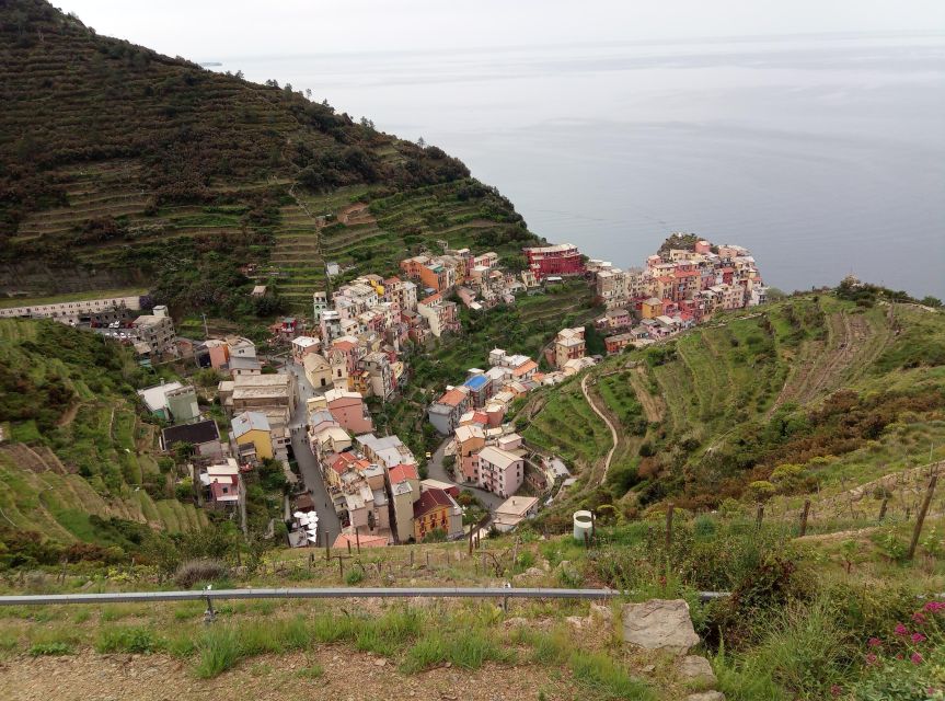 Cinque Terre Wine Tour and Tasting With the Somelier - Wine Pairing Insights