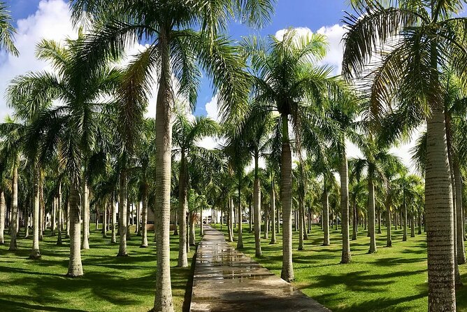 Circle at Paradisus Palma Real - Round Trip Shuttle - Punta Cana Airport - Inclusions