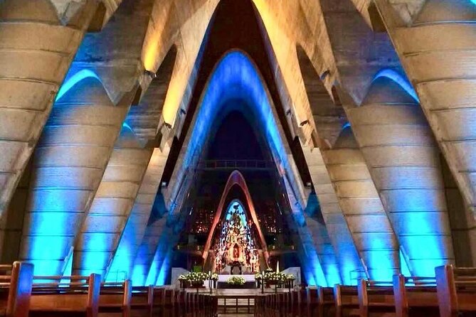 Circle at Paradisus Palma Real - Round Trip Shuttle - Punta Cana Airport - Accessibility and Requirements