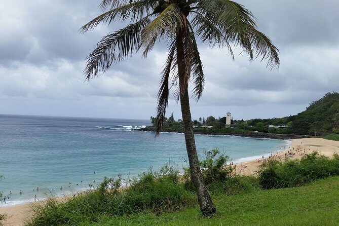Circle Island 8hr Private Small Group Tour - An Honest Look at the Oahu Circle Island Tour