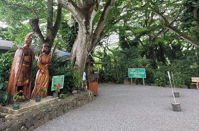 Circle Island 8hr Private Small Group Tour - Final Thoughts