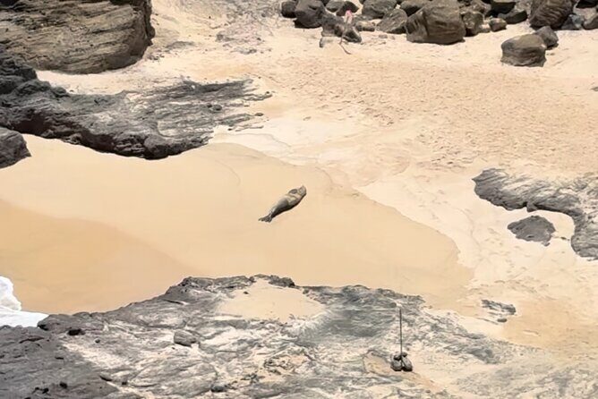 Circle Island Tour: Exclusively for Couples & Honeymooners - A Full Breakdown of the Itinerary