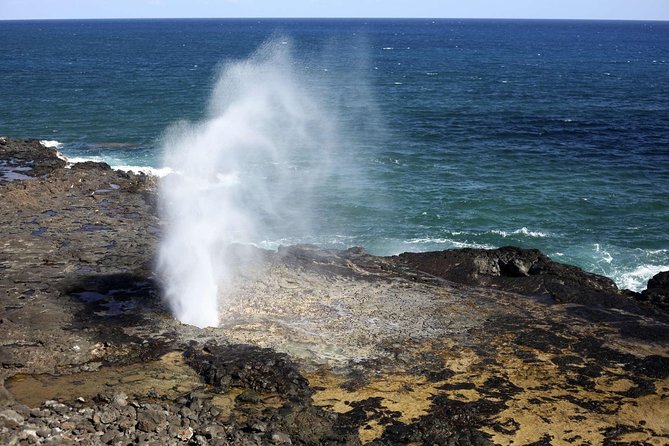 Circle Island Tour With Waimea Waterfall - Host Responses and Feedback