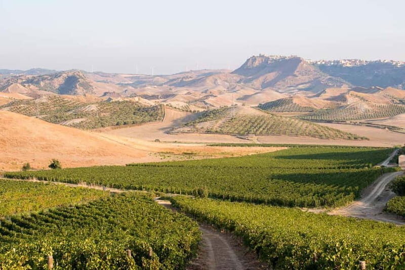 Cirò Marina: winery tour with tasting - Why This Tour Offers Genuine Value
