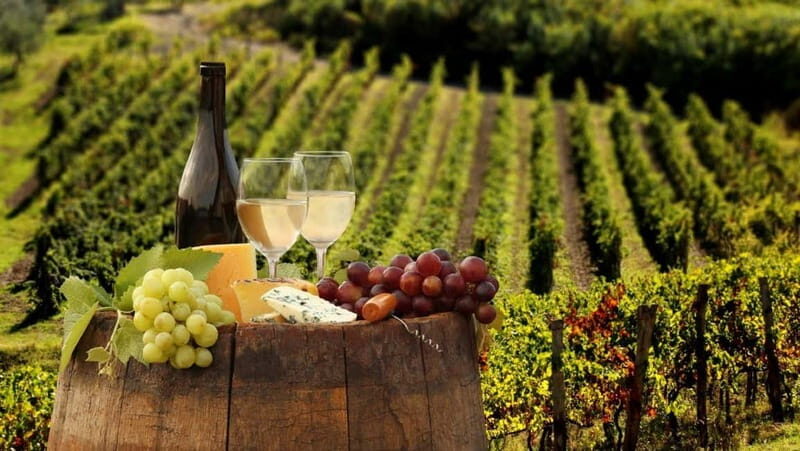 Cirò Marina: winery tour with tasting - Final Thoughts