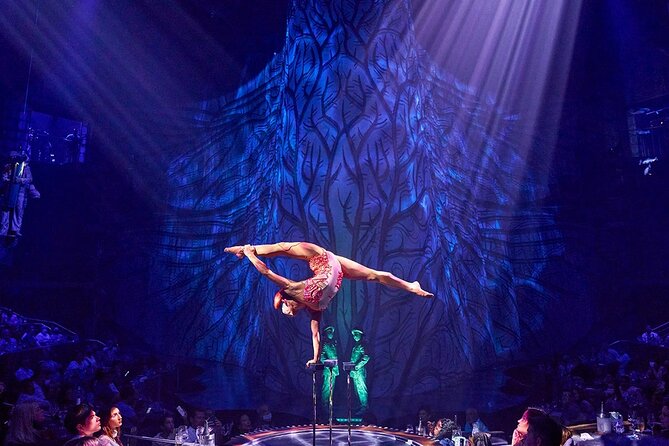 Cirque Du Soleil JOYA Admission Tickets - Transportation Details