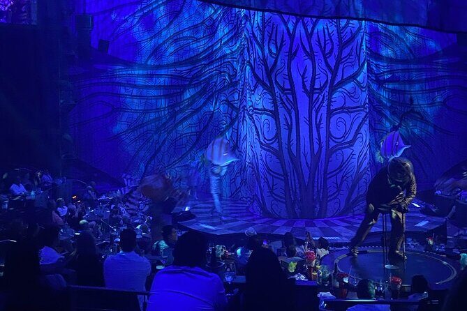 Cirque du Soleil JOYÀ in Vidanta Riviera Maya - Authentic Perspectives from Reviewers