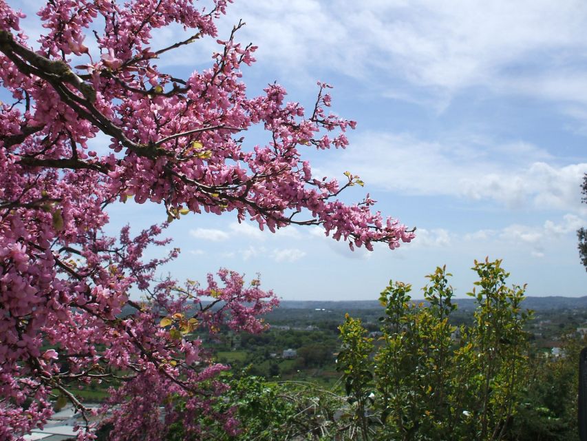 Cisternino: 2-Hour Authentic Italian Village Tour - Frequently Asked Questions