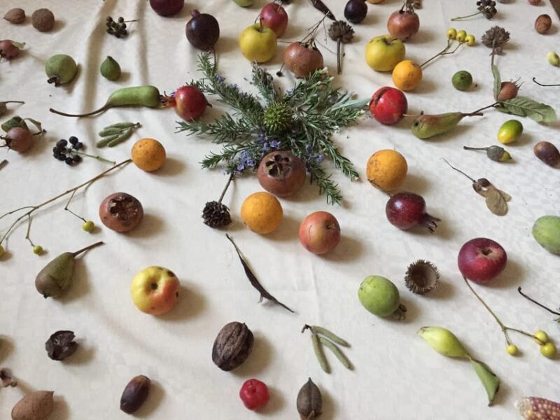 Cisternino: Make a soap with extra virgin olive oil - Final thoughts