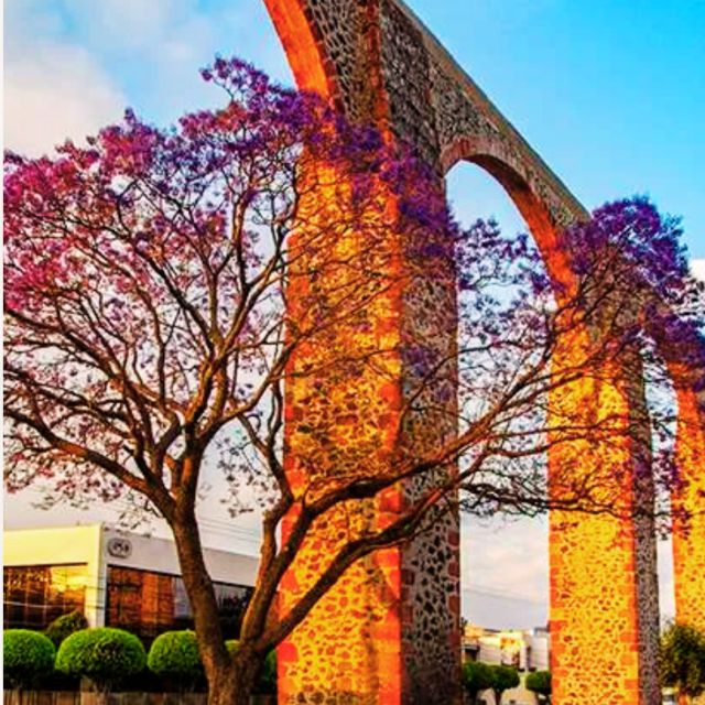 City and Bernal Hill - Walking Tour of Capital