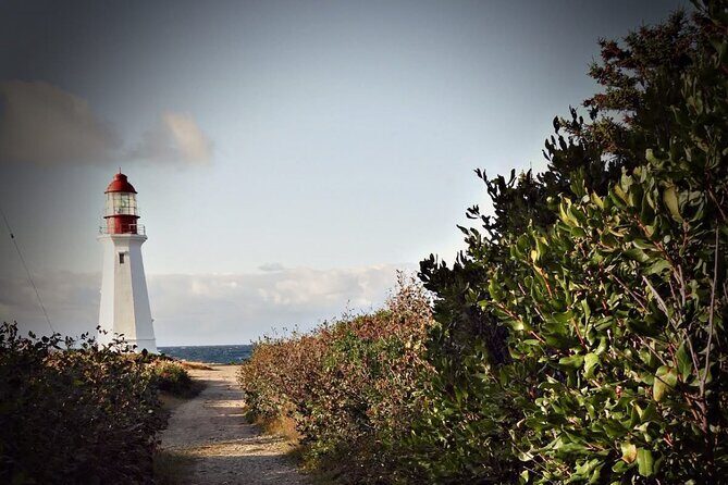 City and Coastal Highlights Museum and Lighthouse Stops Tour - Key Points