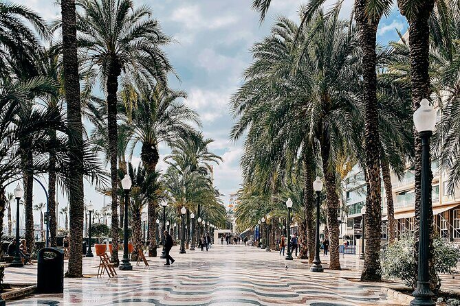 City Bike Tour in Alicante - Key Points