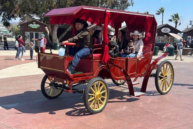 City Carriage Tours and Horseback Riding on the Beach - A Closer Look at the Tour