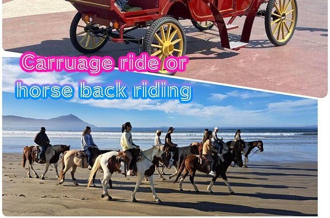 City Carriage Tours and Horseback Riding on the Beach - Who Would Enjoy This Tour?