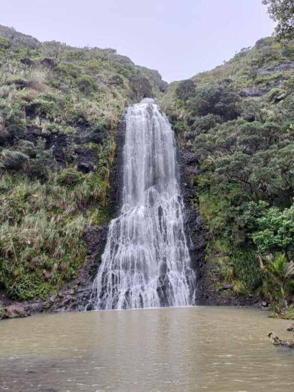 City & Coast & Country  A Relaxed Day Tour from Auckland - An Overview of the Tour Experience