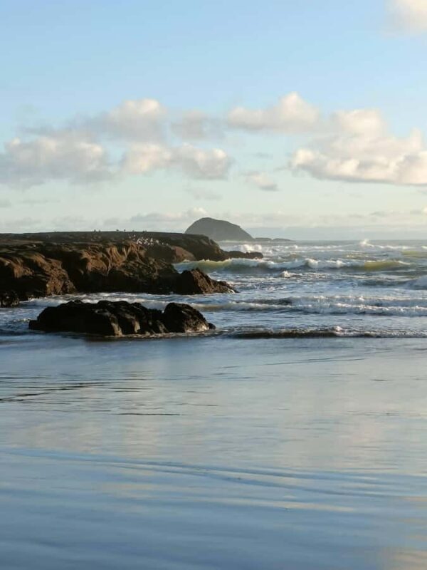 City & Coast & Country  A Relaxed Day Tour from Auckland - Scenic Drive to Kumeu and Optional Mount Eden Viewpoint