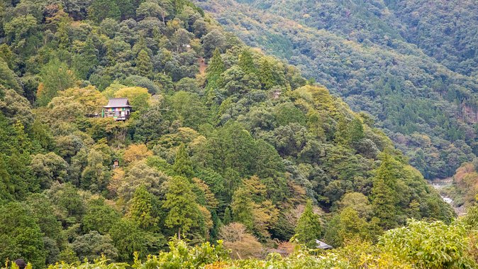 City Escape: Arashiyama Park Private Day Trip - Frequently Asked Questions