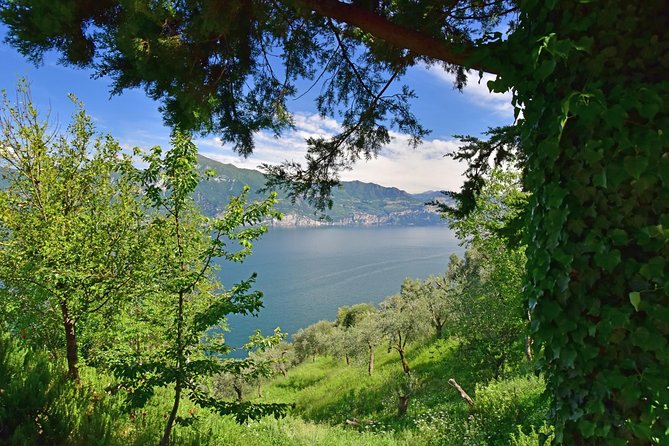 City Escape: Lake Garda Private Day Trip From Verona - Medieval Castles Wine Cellars