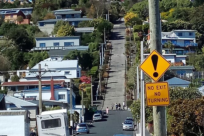 City Highlights, Larnach Castle & Peninsula Views - Larnach Castle Experience