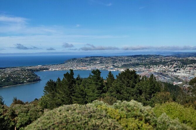 City Highlights, Larnach Castle & Peninsula Views - Customer Experiences and Reviews