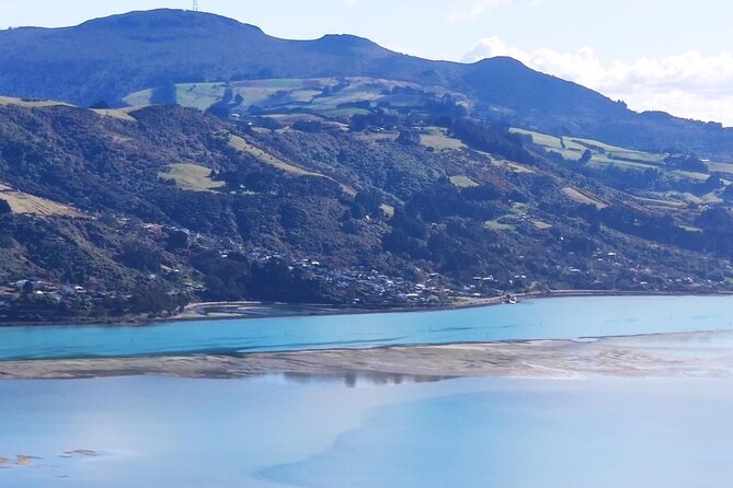 City Highlights, Larnach Castle & Peninsula Views - Tips for a Great Tour