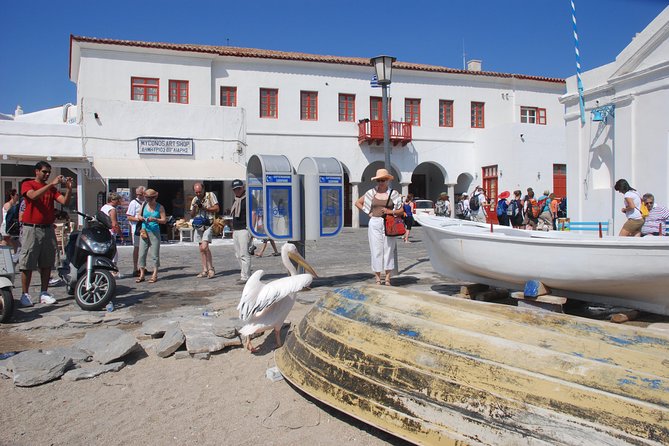 City & Island Tour - Pricing and Availability