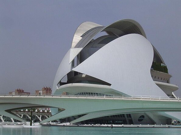 City of Arts and Sciences Private Segway Tour - Private Tour Experience