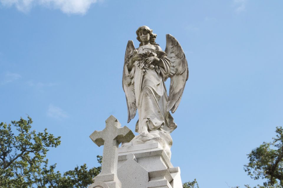 City of New Orleans and Katrina Recovery Tour - Highlights