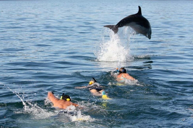 City Of Side: Dolphin Island Boat or Side Boat Tour Options - Key Points