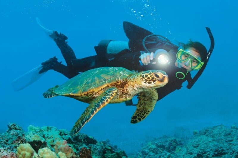 City Of Side: Dolphin Island Boat or Side Boat Tour Options - Who Should Consider This Tour?