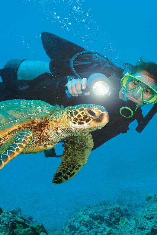City Of Side: Dolphin Island Boat or Side Boat Tour Options - The Sum Up: Who Will Enjoy This Tour Most?