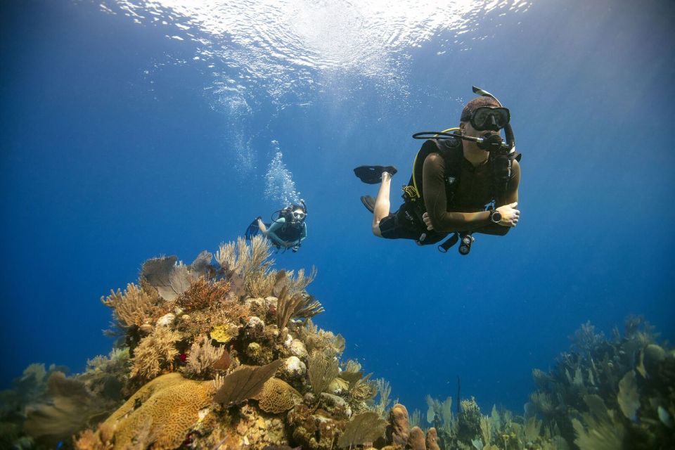 City of Side: Scuba Diving Underwater Museum with Pickup - FAQ
