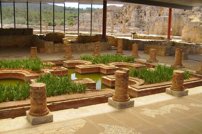 City of Students - Coimbra Private Tour from Lisbon - The Experience: What Travelers Are Saying