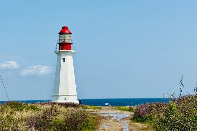 City Sights and Shoreline Tour - Who Will Love This Tour?